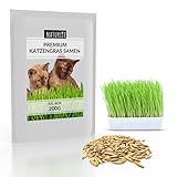 Naturlie XXL 200g Premium Katzengras Samen Set: Saatgut für 80 Töpfe fertiges Katzengras - Saatgut für eine sanfte/weiche Katzenwiese - Premium Saatgut für Deine Katze