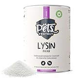 Pets PROTECT 100% reines LYSIN für Katzen & Hunde | 150 g Pulver hochdosiert | Deutsche Herstellung | Zur Vorbeugung & Unterstützung des Immunsystems | Bei Katzenschnupfen | Ohne künstl. Zusätze