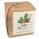 Geschenk-Anzuchtset 'Coffee-to-grow', Kaffeestrauch aus Eigenanbau, Inklusive Kokostopf und Anleitung