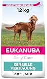 Eukanuba Daily Care Sensitive Digestion Hundefutter - Trockenfutter für Hunde mit sensibler Verdauung, Magenfreundlich mit leicht verdaulichem Reis, 12 kg