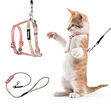 TIESOME Katzengeschirr mit Leine und Halsband Set, einstellbares Kätzchengeschirr mit Farbverlauf, ausbruchsicheres Geschirr mit Leine für Kätzchen beim Spaziergang im Freien (Orange und Gelb)