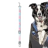 Sicherheitsgurt für Hunde im Auto – Sicherheitsgurt für Hunde, verstellbares Zubehör für Tiere mit elastischem Puffer, einziehbares Geschirr mit Schnalle für Hunde