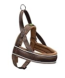 HUNTER Racing Norwegergeschirr, Braun und Cognac, 52-62 cm