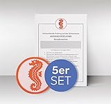Schwimm Schmidt Schwimmabzeichen Set | Abzeichen Frühschwimmer Seepferdchen Easy ON + Urkunde Seepferdchen (5)