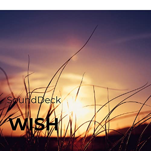 Wish [Explicit]