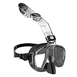 ARGEU Tauchausrüstungsbrille, Schnnorchelmaaskenausrüstungsbrille, Trockennoberteil-Schnnorchelset, Gehärtete Antibeschlagbrille, Verstellbare Schnnorchel-Schwimmausrüstung Für Erwachsene Zum Tauchen,