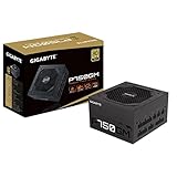 Gigabyte Netzteil 750W P750GM, GP-P750GM, schwarz, Einheitsgröße