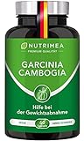 GARCINIA Cambogia 60% HCA - Diety Slim Plus Kapseln - F-Burner + Appetithemmer 3in1-60 Kapseln 100% VEGAN