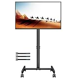 BONTEC TV Ständer Rollbar für 13-49 Zoll Flat Curved TVs, Tragbarer Mobiler TV Wagen mit 4 Rollen, Höhenverstellbarer TV Ständer auf Rädern bis 20 kg, max. VESA 200x200mm für Heim und Büromeetings