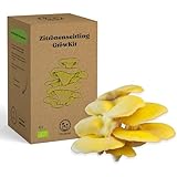 PilzWald Zitronenseitling GrowKit - Gelbe Austernpilze selber züchten - Pilzzucht Set für Anfänger mit Sprühflasche & Bilder-Anleitung - Haus & Garten