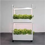 Hydroponik-Anbausystem Hydroponik-Anbausystem Smart Herb Vertical Garden Kit für den Innenbereich Automatische Wachstumslichter Pflanzgefäß für die Küche zu Hause Hydroponik-Turm