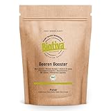 Bio Beeren Booster Protein Pulver 400g - veganes Superfood - Protein, Acai, Acerola & Maca - Rote Beete & Ingwer - Ohne Zuckerzusatz, Gluten & Laktose - DE-ÖKO-005 - Biotiva