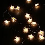 Lichterkette Blumen, 200cm 20LED Gänseblümchen Lichterketten Batteriebetrieben, Dekorative Lichter für Kinderwagen, Fairy Lights für Garten, Hochzeit, Innen, Außen, Terrasse, Bäume