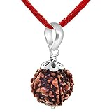 Petrichor Original 5 Faced Rudraksha Bead with Silver Capping (5 Mukhi with Certificate)