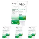 WELEDA Bio Pflanzen Zahngel, vegane Naturkosmetik Zahncreme/Zahnpasta zur gründlichen Reinigung der Zähne, natürlicher Schutz bei empfindlichem Zahnfleisch ohne den Zahnschmelz anzugreifen (1 x 75 ml)