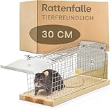 Praknu Rattenfalle Lebendfalle 30 cm Groß aus FSC® Holz - Tierfreundlich & Wiederverwendbar - Sofort Einsatzbereit - Für Ratten & Wühlmäuse