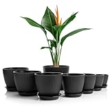 BigDean 8er Set Blumentopf in 8 verschiedenen Größen mit passenden Untersetzer Anthrazit – hochwertiger & wetterfester Pflanztopf – perfekt für Innen- & Außenbereich geeignet