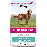 Eukanuba Daily Care Sensitive Digestion Hundefutter - Trockenfutter für Hunde mit sensibler Verdauung, Magenfreundlich mit leicht verdaulichem Reis, 12 kg