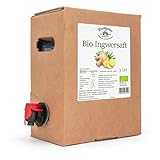 Diesdorfer Bio Ingwersaft 3 L Bag in Box Direktsaft vegan 100%