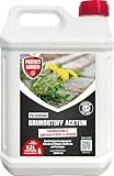PROTECT GARDEN Permaclean Grundstoff Acetum, turboschnelle Beseitigung von Unkraut auf Wegen, Plätzen und Terrassen, 5 Liter Kanister