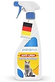 Katzen-Abwehrspray gegen Urinieren & Kratzen 500ml - Fernhaltespray für Innen gegen Katzen mit Sofort- & Langzeitwirkung - inkl. Knabberschutz - hochwirksam