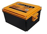 LIONTRON LiFePO4 12,8V 150Ah LX Arctic Under seat Battery ; 1920Wh; geeignet für die Verwendung bis -30°C mit BMS und Bluetooth Überwachung; für Wohnmobil oder Boot 395x280x187mm - LIDUCSM12150LX-A