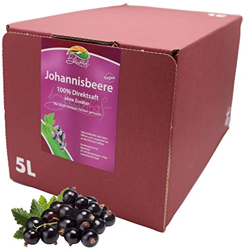 Bleichhof Schwarzer Johannisbeersaft - 100% Direktsaft, OHNE Zuckerzusatz, Bag-in-Box (1x 5l Saftbox)