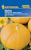 Kiepenkerl Kürbissamen Gele Reuzen / Gelber Zentner 381 - Große, gelbe, sehr haltbare Einmachsorte mit leuchtend gelbem Fruchtfleisch - Gemüsesamen, Saatgut
