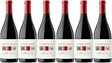 Cerrolaza Altos del Marqués Joven Rioja DOCa 2022 Trocken (6 x 0.75 l)