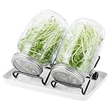 Sprossenglas Set|2er-Set 1000ml Keimglas mit Deckeln und Haltern und Schalen|Sprossengläser für die Sprossenzucht und Keimung von Samen