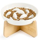 PETTOM Anti Schling Napf Katze Erhöht, Keramik Antischlingnapf Katze, Slow Feeder Katzen Nassfutter, Antischlingnapf für Katzen und Kleine Hunde