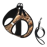 Hundegeschirr mit Muschellandschaft am Strand, reflektierend, Haustierweste, Welpengeschirr, Leine-Set, für Spaziergänge und Training