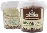 Bio Braunkappe Substratbrut - Pilze selber züchten