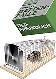 Praknu Rattenfalle Lebendfalle 30 cm Groß aus FSC® Holz - Tierfreundlich & Wiederverwendbar - Sofort Einsatzbereit - Für Ratten & Wühlmäuse
