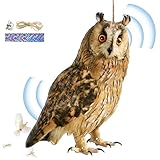 Eule Vogelscheuche, Vogelschreck Vogelabwehr, Taubenschreck Eule Mit Glocke, Schnur Und Laserband, Taubenschreck Taubenabwehr, Vogelabwehr Anhänger, Vogelabwehrgeräte Außenbereich, Gartendekoration