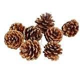 24 Stück Natürliche Tannenzapfen, Thanksgiving Weihnachtsbaum Dekorationen, Herbst und Winter Home Pine Cones Dekorationen Weihnachtsbaum Girlande Rattan Dekoration Vase Füllung