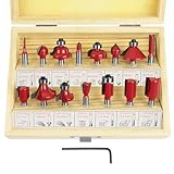 flintronic Fräser-Set, 6.35MM Fräsen Werkzeug Set, 15-tlg Holzkoffer Geschmiedeter Werkzeugstahl Oberfräser, Bündigfräser, Holzschneider mit Kunststoff-Box, Bodenreinigung für Holzbearbeitung