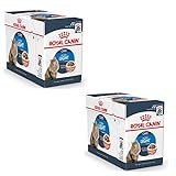 Royal Canin Light Weight Care Gravy | Doppelpack | 2 x 12 x 85 g | Nassfutter für Katzen | Zur Unterstützung für übergewichtige Katzen | Enthält Eisen, Mangan und Zink