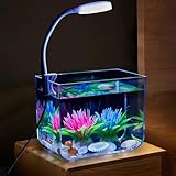 Niwugady Aquarium-Tank mit Klemmlicht, Aquarium Starter Set, Quadratisch Mini Aquarium für Wohnzimmer, Büro, Dekoration, S,7.5x10.5x12.5cm