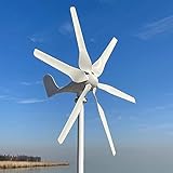 800W Windkraftanlagen 12V 24V 48V Windturbinen Windräder mit 6 Flügeln und kostenlosem MPPT Laderegler horizontale Windgenerator für Zuhause (48V mit Reglar)