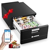 AAOBOSI 31L Schublade Kompressor Kühlbox, Kühlbox Auto mit APP-Steuerung, 12/24V, Wohnwagen Kühlbox, bis -20℃ Camping Kühlbox für Auto, LKW, Boot, Reisemobil, Camping und Steckdose