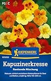 Kiepenkerl Kapuzinerkressesamen Rankende Mischung 1015050 - Blumensamen für robuste Kletterpflanzen mit einer Wuchshöhe von 150 bis 200 cm - Saatgut, Pflanzen