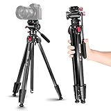 NEEWER 63'/160cm Reisestativ, Tragbares Aluminium Videostativ mit Schwenkbarem Fluidkopf, Kompatibel mit Panasonic Sony Canon JVC Mini DV Camcorder, DSLR Kamera, Max. Last 17,6lb/8kg, TP22
