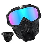 JINGLING Reitbrille, Motorradbrille mit abnehmbarer Gesichtsmaske | Abnehmbare Anti-Beschlag-warme Brille | abnehmbare Motorradbrille mit abnehmbarer Gesichtsmaske zum Reiten