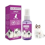 Katzenabwehrspray,effektive Katze Training Spray,60ML Anti Kratz Spray Katzen,Anti Katzen Fernhaltespray für denInnen- und Außenbereich Geeignet,Nicht Reizend