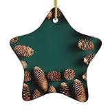 WHJWZY Weihnachtlicher Keramik-Stern-Anhänger Dekoration Baum hängende Festival-Ornamente – ideal für Häuser – Urlaubsparty Tannenzapfen-Bordüre Bild