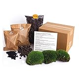 Flaschengarten Paket - Nachfüll & Starterpaket DIY - Pflanzenterrarium Nachfüllset