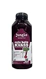 Jungle Rote Bete Kvass, Fermentiertes Getränk, 500 ml (500ml, Rote Bete)