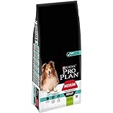 Pro Plan PURINA PRO PLAN Medium Adult Sensitive Digestion, Hundefutter trocken, reich an Lamm, 1er Pack (1 x 14 kg)