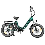 E Bike Klapprad 20 Zoll Elektrofahrräder，E-Faltrad Damen und Herren, 48V 18A*2 Doppelbatterien|250W Heckmotor & 25km/h, Hydraulische Bremse, Tiefeinsteiger E-City Bike/Falt-Pedelec für Erwachsene